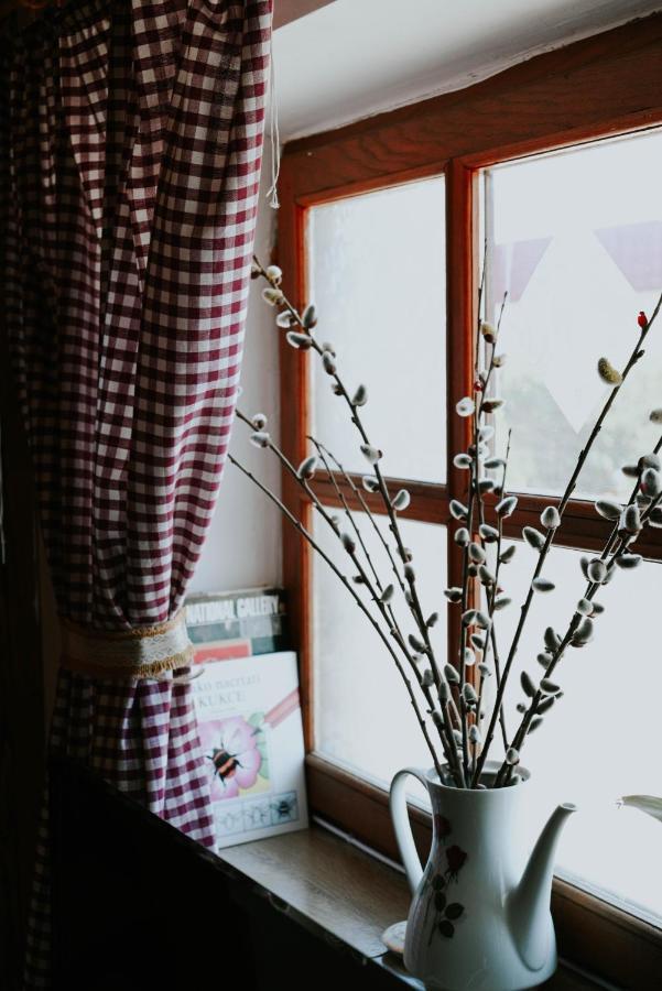Studio Apartment Romeo เวลิคาโกริตซา ภายนอก รูปภาพ